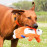 Rogz Мека играчка Thinz в оранжев цвят с малък размер 20 см